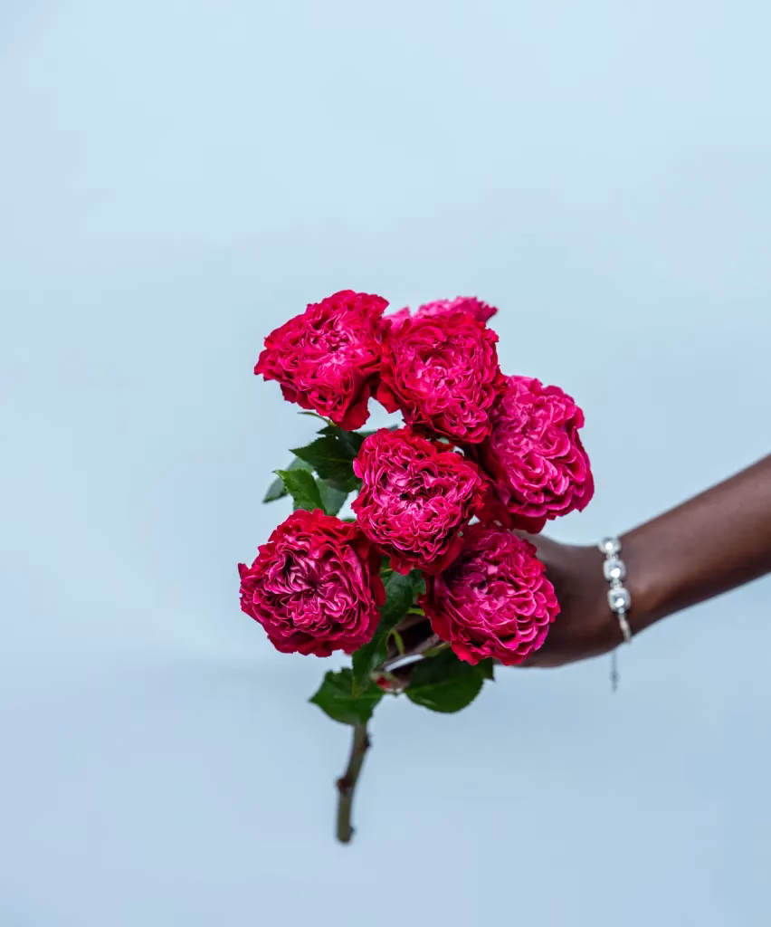 royal magic samora flowers (1)